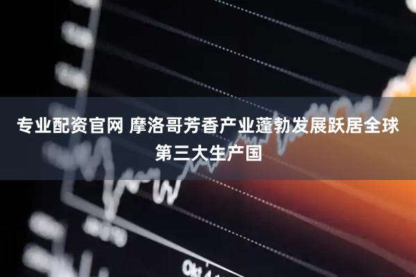 专业配资官网 摩洛哥芳香产业蓬勃发展跃居全球第三大生产国
